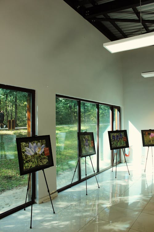 Multiple paintings displayed on the walls inside an art gallery exhibition space