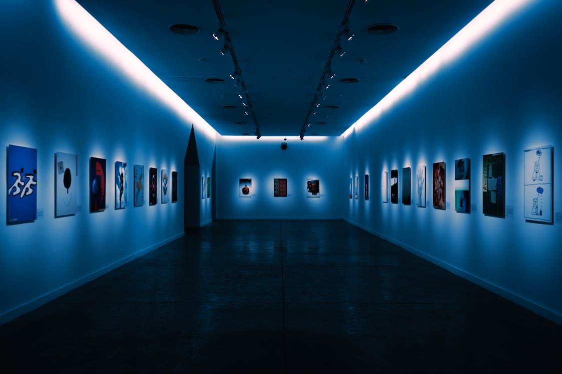 Dimly lit art gallery interior showcasing multiple contemporary artworks